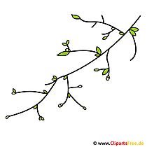 分支图像-Clipart-Spring Clipart Free