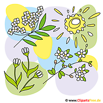 Çiçekler - bahar Clipart ücretsiz