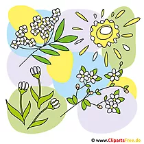 ပန်းများ - Spring Cliparts အခမဲ့