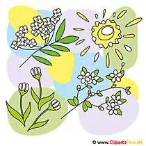 Çiçekler - bahar Clipart ücretsiz