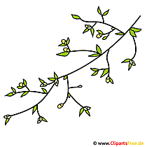 Fleurs sur l'image de la branche - clipart