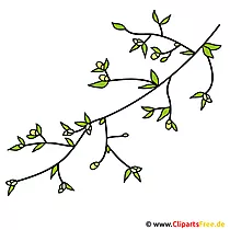 အကိုင်းပေါ်ရှိပန်းပွင့်ပုံ - clipart