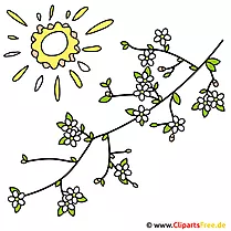 Jarný obrázok pre bezplatné konáre stromov s kvetmi