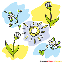 Frühling Bilder gratis
