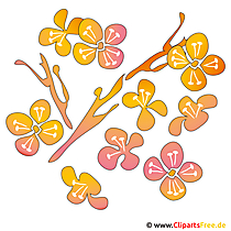 Spring Cliparts Free - Blommen