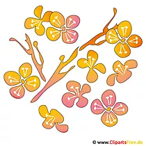 Весняні кліпарти безкоштовно - Квіти