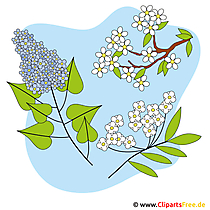 Frühlingsblumen Bild - Clipart kostenlos