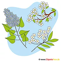 Obrázok jarných kvetov - klipart zadarmo