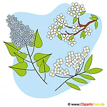 နွေဦးပန်းများပုံ - Clipart အခမဲ့