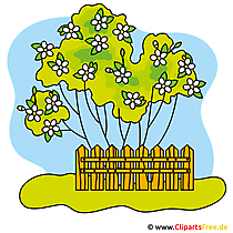 Clipart de jardí de forma gratuïta