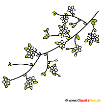 Cherry clipart - ilmainen kuva