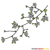 Clip art de cereza - imagen gratis
