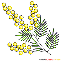 Sanddorn Bild - Frühling Clipart