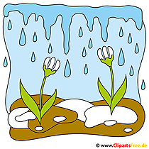 Schneegloeckchen Clipart gratis