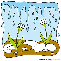 Snowdrop Clipart အခမဲ့