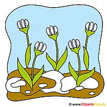 Snowdrops cliparts gratis