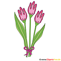 Tulpių iliustracijos nemokamai - pavasario paveikslėlis