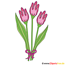 Tulppaanien clip art ilmainen - kevään kuva