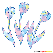 Tulpe Clipart-Bild