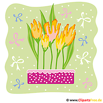 Tulpen Clipart - Fruehling Bilder kostenlos