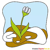 ခရမ်းရောင်ပုံရိပ် - clipart နွေဦး