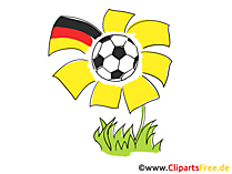 Fussball-Blume - Cliparts Fussball