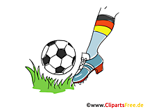 Fussball Clipart und Illustrationen