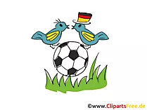 Fussball Grafik, Clipart, Bild, Cartoon