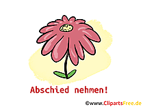 Abschiedssprüche für Kollegen mit Bildern