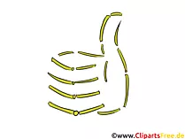 Clipart-Bild Daumen oben