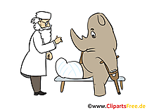 Tierarzt Clipart, Cartoon, Illustration gratis