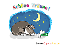 eCards Gute Nacht gratis