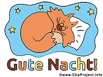 Katzenbild Gute Nacht