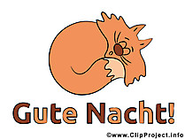 Schlafende Katze Bild - Gute Nacht Bilder