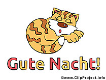 Schlafende Katze Clipart