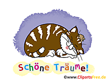 Süsses gute Nacht Bild Süsses gute Nacht Bild