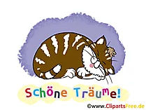 Süsses gute Nacht Bild