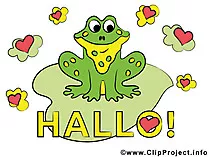 Bilder zu Hallo