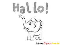 Hallo Bild gratis