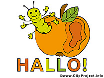 Hallo Bilder