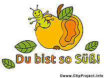 Sprüche und Bilder - Du bist so Sueß