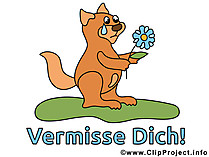 Clipart Kaenguru kostenlos