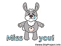 Hase weint Bild