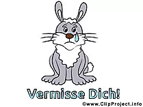 Kaninchen Bild