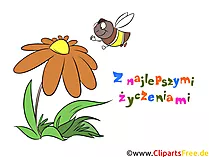 Geburtstagswunsch auf Polnisch Clipart, Comic, Bild