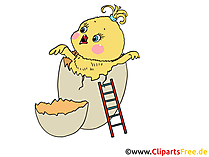 Clip Art Chicken