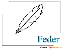 Feder Bild Clipart free