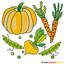 Bilder Gemüse kostenlos