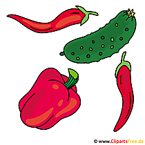 Biogemüse Bilder kostenlos