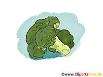 Blumenkohl Illustration, Bild, Clipart gratis